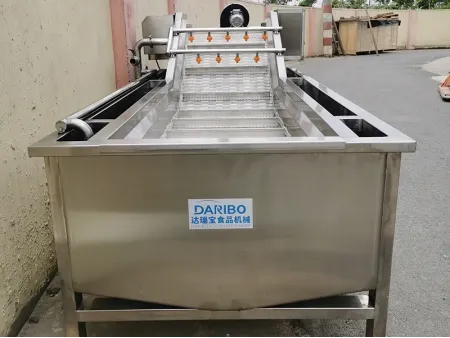 Vegetable Bubble Washer (Conveyor Type), DRB-QX3000