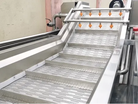 Vegetable Bubble Washer (Conveyor Type), DRB-QX3000