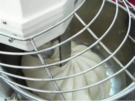 Double Speed Spiral Mixer