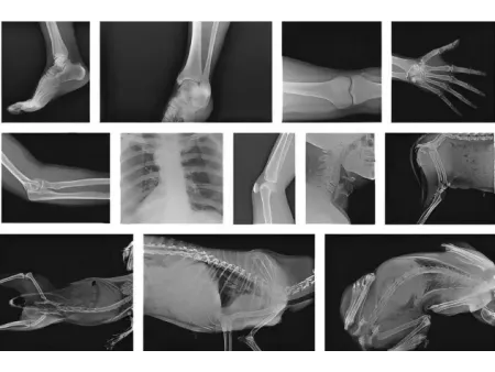 SMART Handheld X-Ray Machine