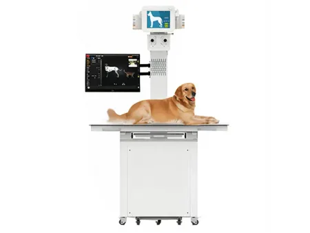 Veterinary X-Ray Machine