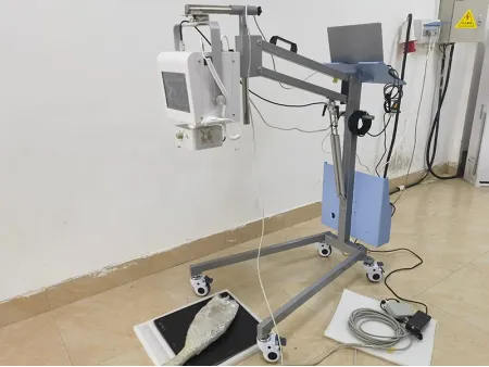 Veterinary X-Ray Machine
