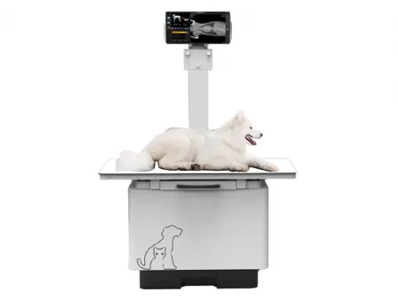 Veterinary X-Ray Machine