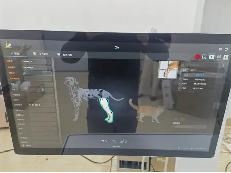 Veterinary X-Ray Machine