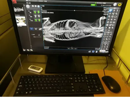 Veterinary X-Ray Machine