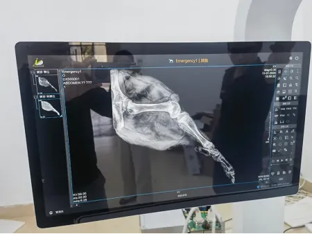 Veterinary X-Ray Machine