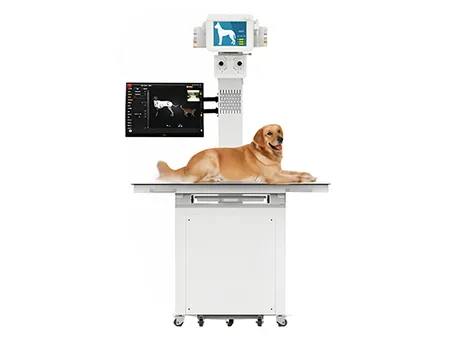 X-Ray Machine