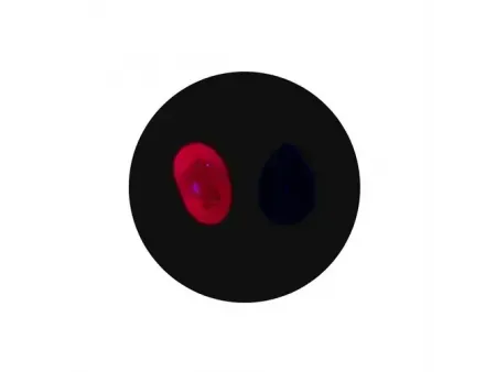 Ultraviolet Lamp