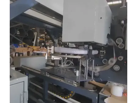 Automatic Horizontal Wire Coil Packaging Line