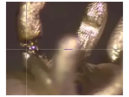 Jewelry Laser Spot Welding Machine