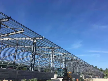 Steel Warehouse Buildings