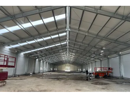 Steel Agricultural Buildings