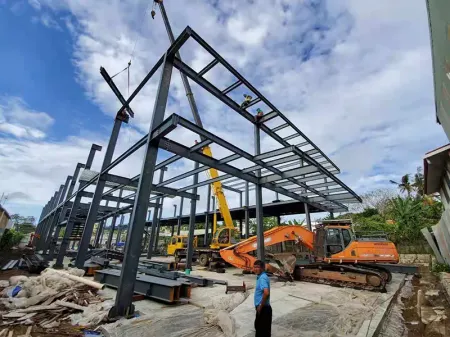 Multi-Storey Steel Buildings