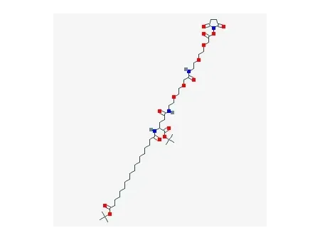 tBuO-C₁₈-γ-Glu(AEEA-AEEA-OSu)-OtBu