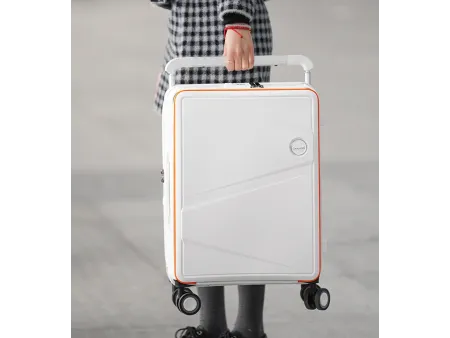 Check-In Luggage Check-In Luggage
