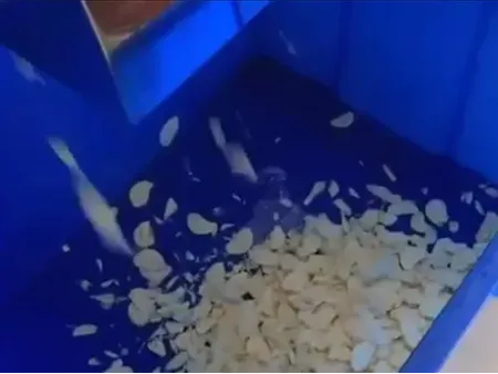 Vegetable Dicing Machine (300-800kg/h)