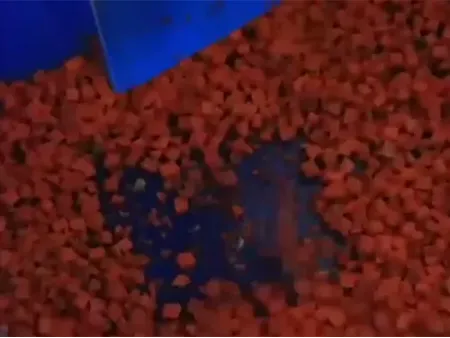 Vegetable Dicing Machine (300-800kg/h)