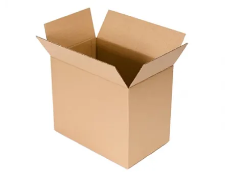 Paper Corrugated Carton