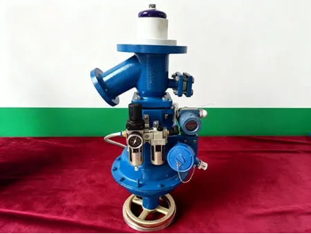 Glass Lined Flush Valve