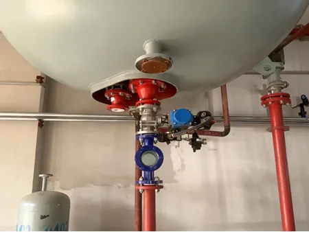 Glass Lined Flush Valve