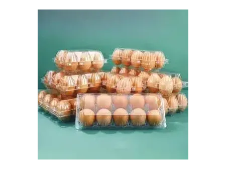 Plastic Thermoforming Machine (Multi-Station)