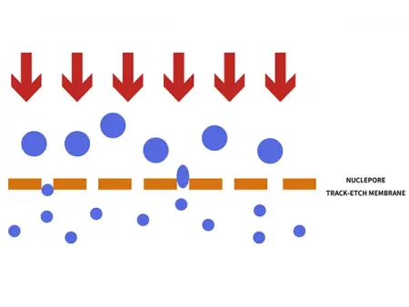 Jacketed Liposome Extruder