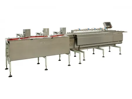 Automatic Feeding Packaging System