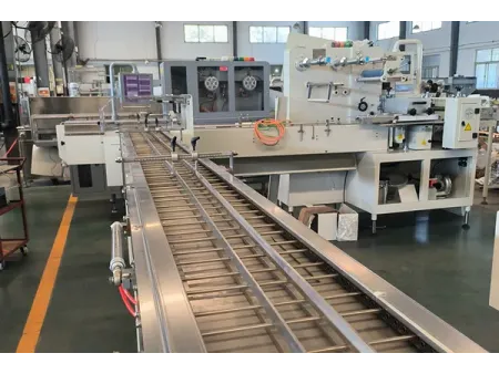 Trayless Horizontal Packaging Machine, SF-G (Double Chute Biscuit-on-Edge Packaging)