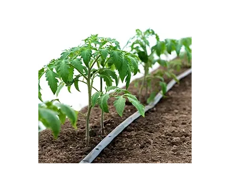 Flat Dripper Irrigation Pipe Making Machine