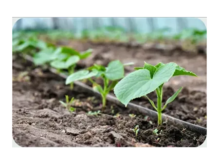 Flat PC Dripper Irrigation Pipe Making Machine