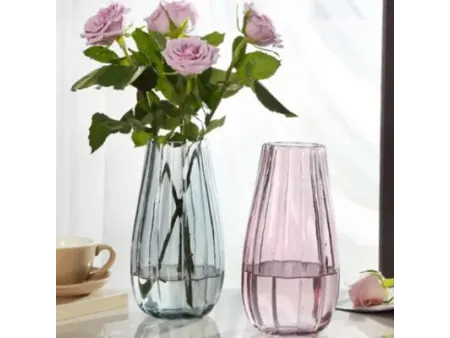 Hydroponic Plant Glass Vases & Glass Flower Pots