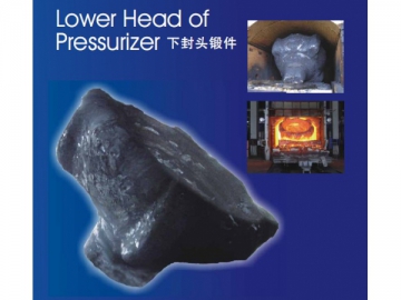Nuclear Power Forged Parts R&D