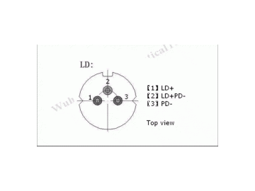 635nm-980nm Red Laser Module
