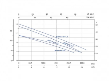 BTP Swimming Pool Pump