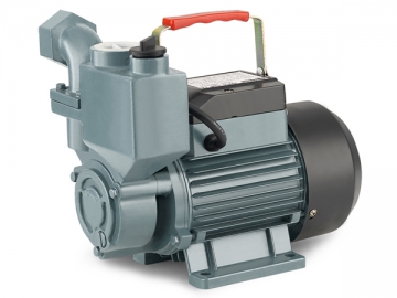 WZB Self-Priming Peripheral Pump