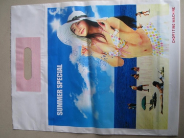 High Speed Flexographic Printer