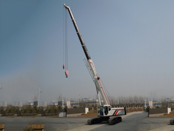 SMQ250C Telescopic Crawler Crane