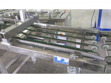 Wafer Belt Conveyor