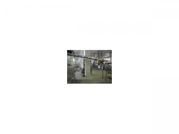 Chain Conveyor