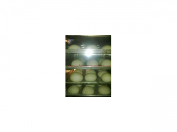 NFC Series Convection Oven