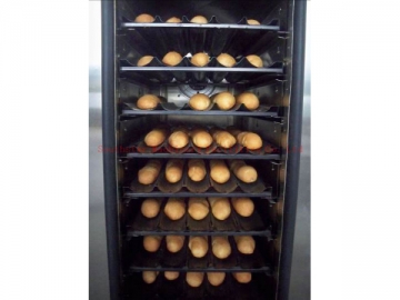 NFC Series Convection Oven