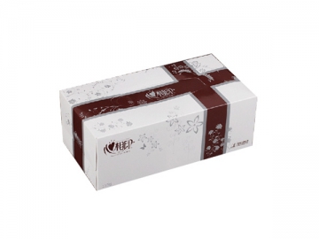 CDH-236 Facial Tissue Box Packaging Machine