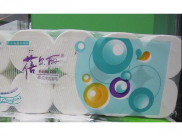 CDH-80 Toilet Roll Packing Machine