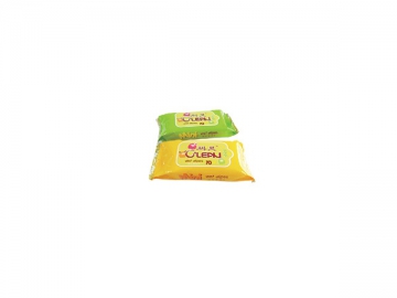 CD-2030 5~30pcs Semi Automatic Wet Wipe Machine