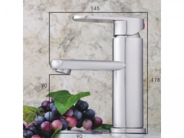 Basin Faucet