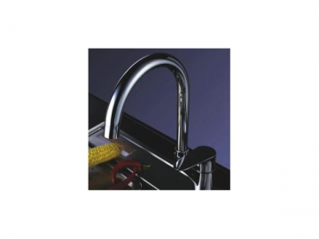 Kitchen Faucet