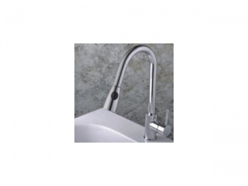 Kitchen Faucet