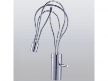Kitchen Faucet