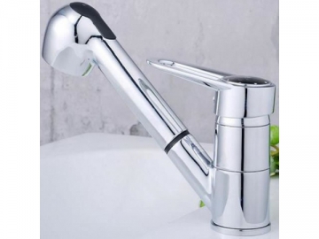 Kitchen Faucet
