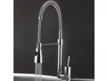 Kitchen Faucet